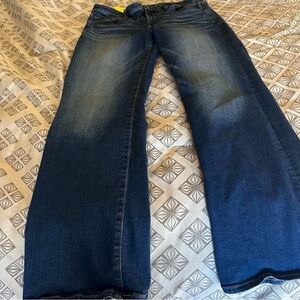 👖American Eagle Women’s Blue Jeans 8 Short